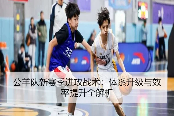 公羊队新赛季进攻战术：体系升级与效率提升全解析