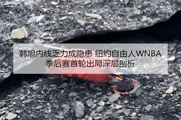 韩旭内线乏力成隐患 纽约自由人WNBA季后赛首轮出局深层剖析