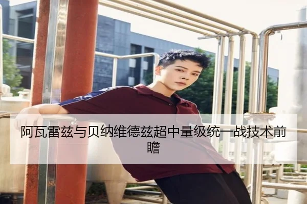 阿瓦雷兹与贝纳维德兹超中量级统一战技术前瞻
