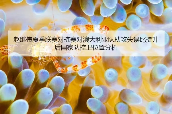 zhao-ji-wei-xia-ji-lian-sai-dui-kang-sai-dui-ao-da-li-ya-dui-zhu-gong-shi-wu-bi-ti-sheng-hou-guo-jia-dui-kong-wei-wei-2-909.jpg